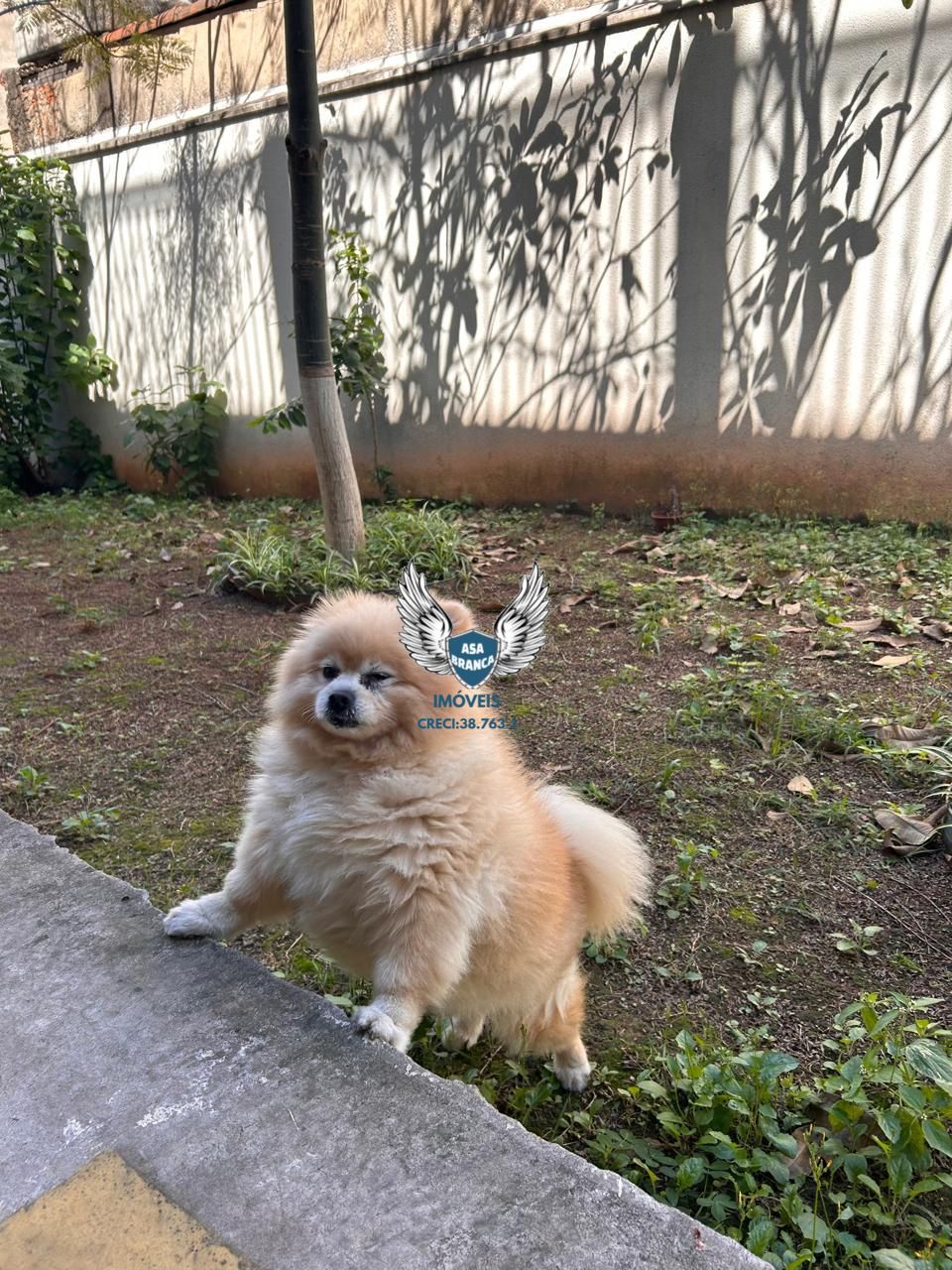 Apartamento, 2 quartos, 52 m² - Foto 25