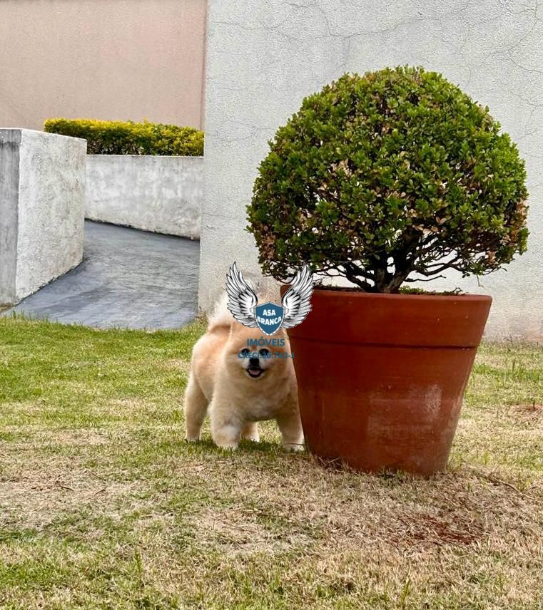 Apartamento, 2 quartos, 52 m² - Foto 26