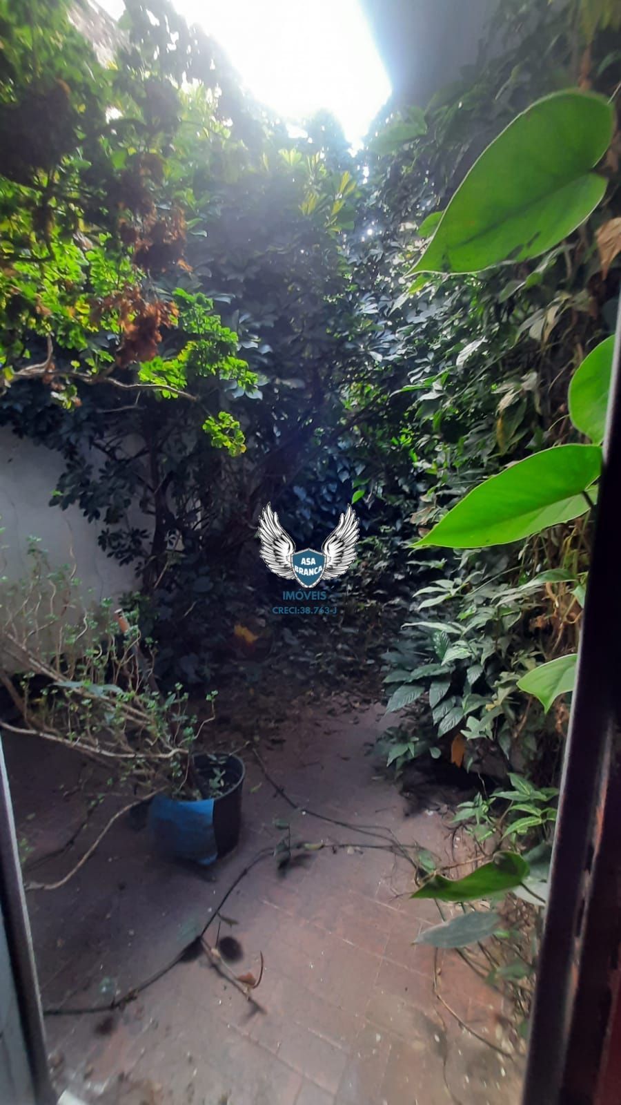 Casa térrea na freguesia do ó com 04 dormitórios sendo 01 suíte e 05 vagas de ga