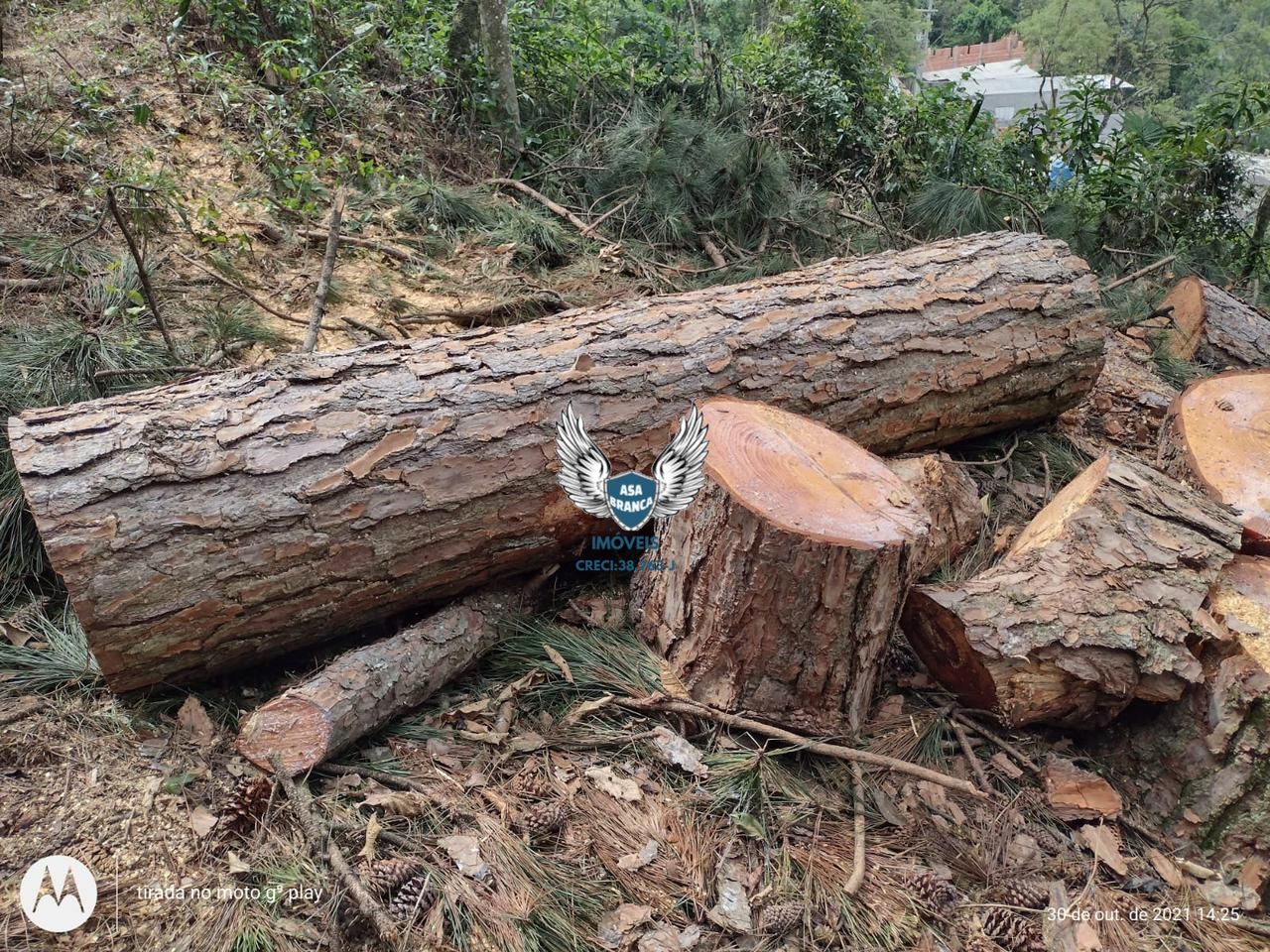 Terreno, 806 m² - Foto 24