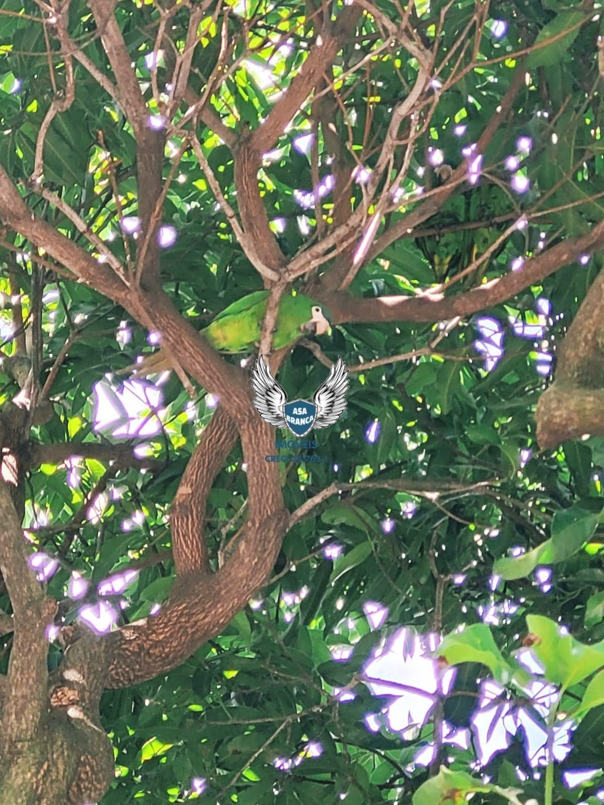 Apartamento, 1 quarto, 35 m² - Foto 19