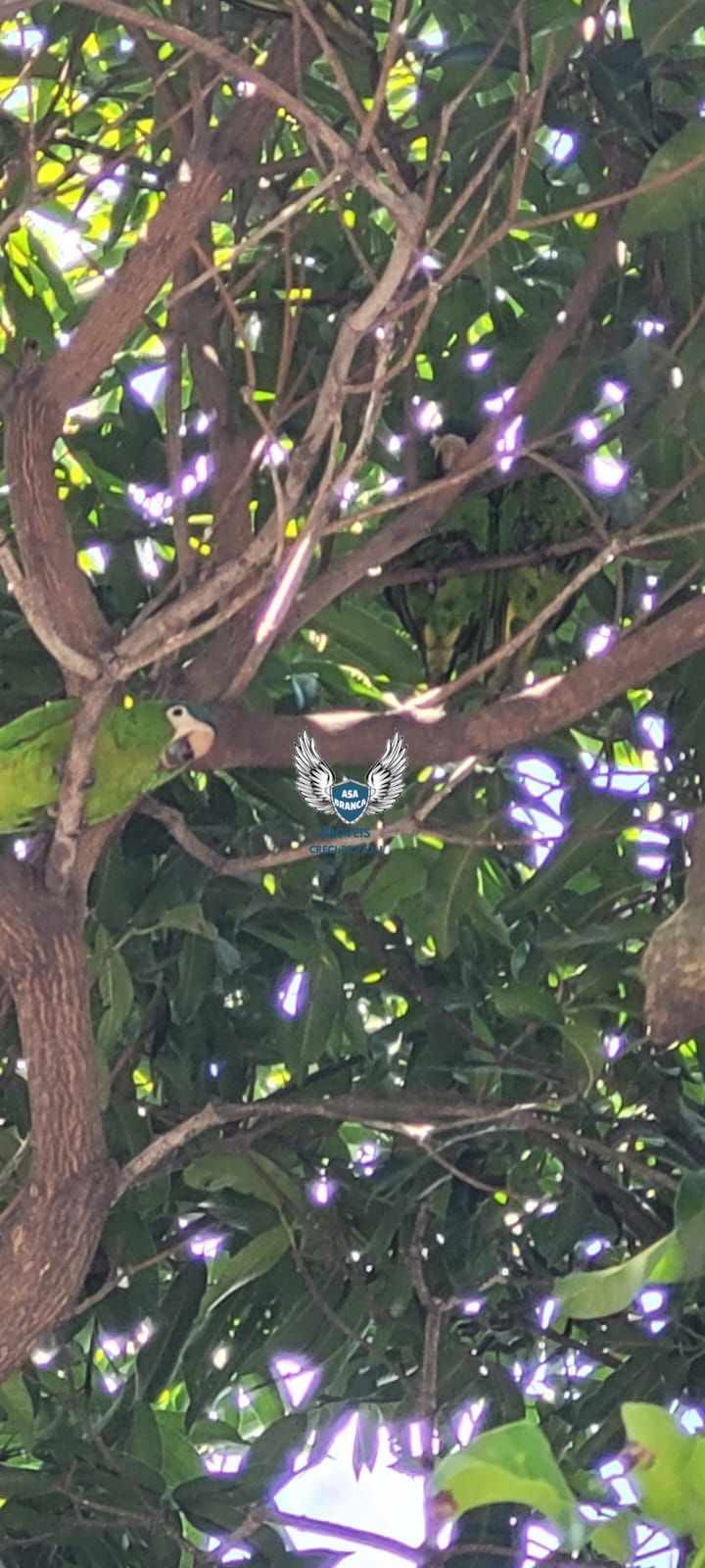 Apartamento, 1 quarto, 35 m² - Foto 14