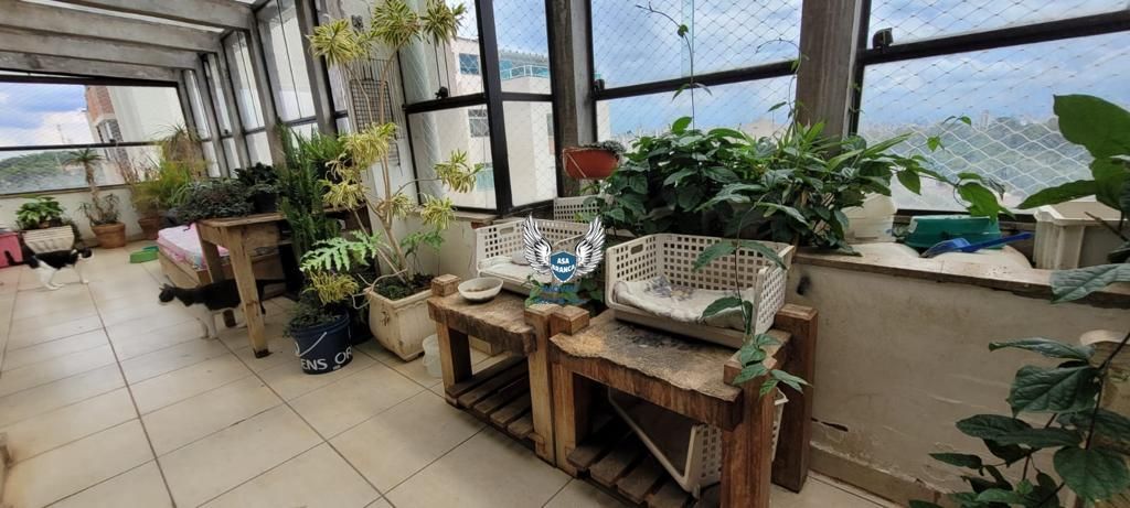 Apartamento duplex no barro branco (tucuruvi), com 03 dormitórios sendo 01 suíte