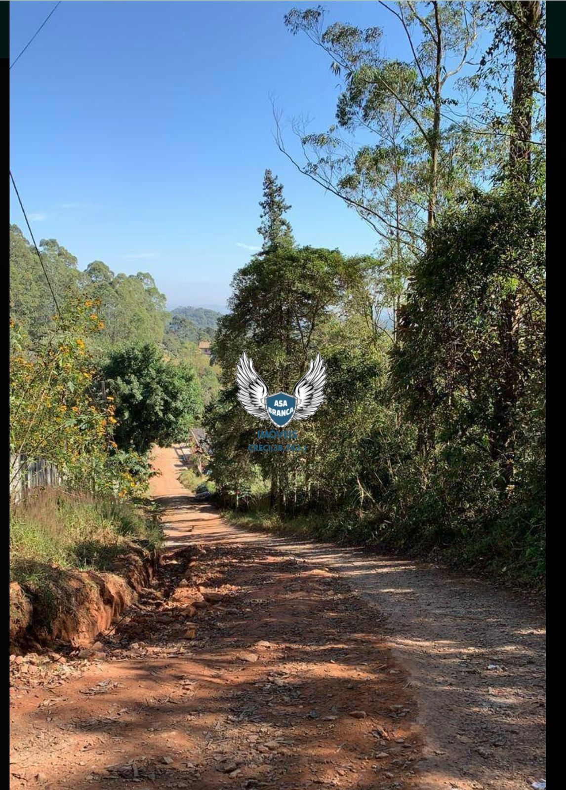 Terrenos à venda em mariporã escriturados , são 02 terrenos 