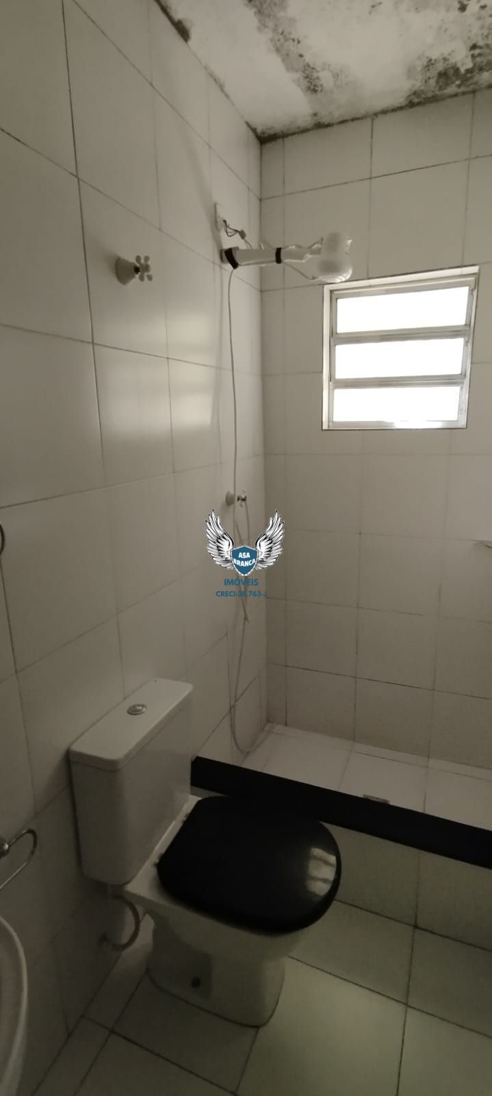 Casa, 3 quartos, 220 m² - Foto 6