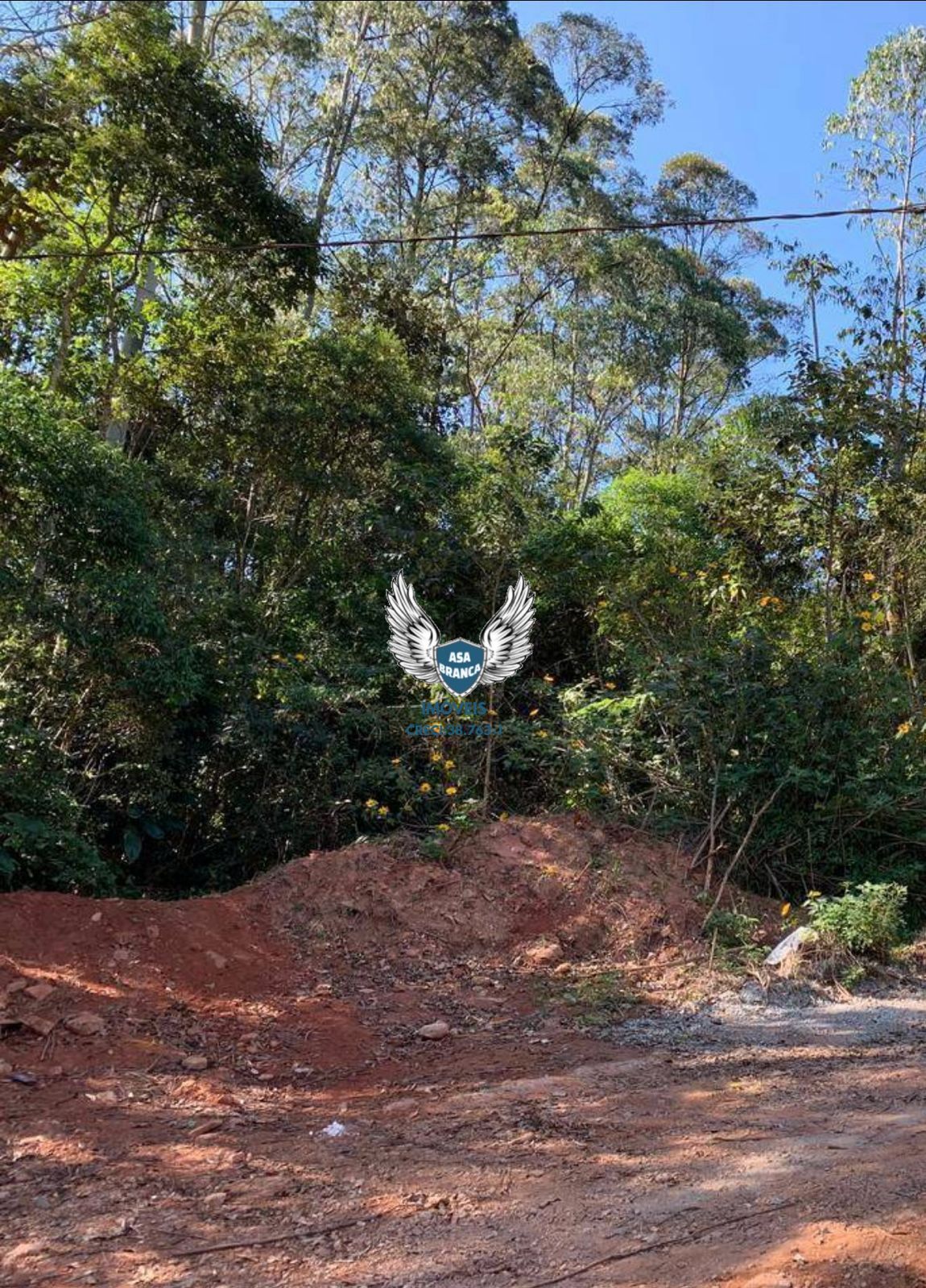 Terrenos à venda em mariporã escriturados , são 02 terrenos 