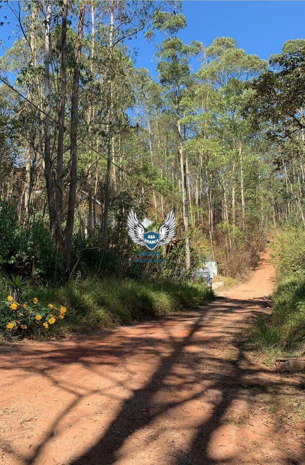 Terrenos à venda em mariporã escriturados , são 02 terrenos 