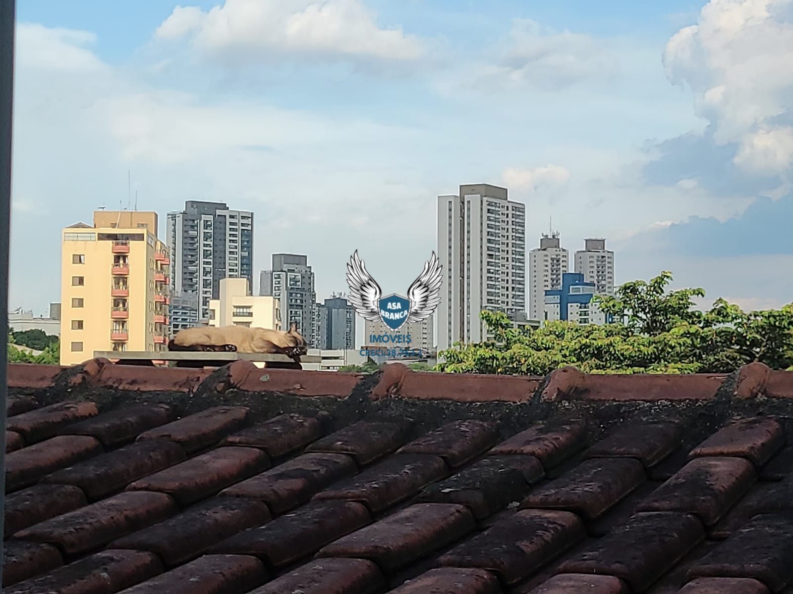 Apartamento, 1 quarto, 35 m² - Foto 12