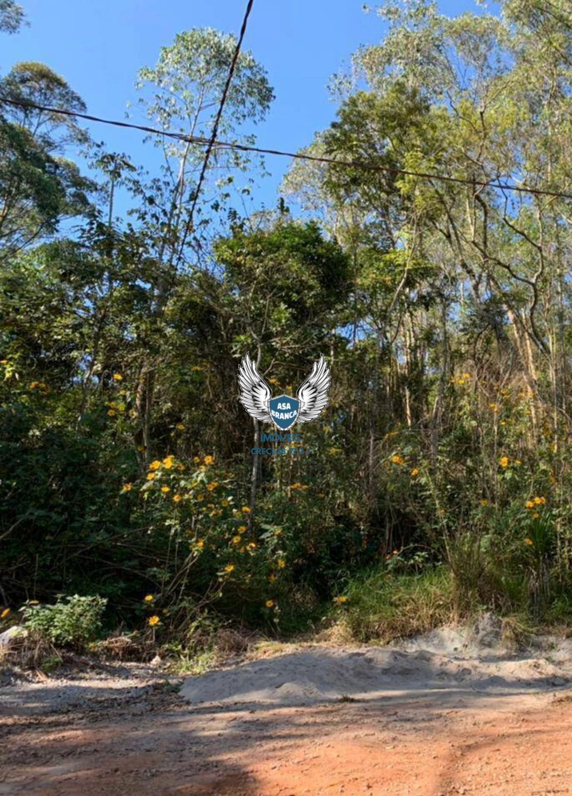 Terrenos à venda em mariporã escriturados , são 02 terrenos 