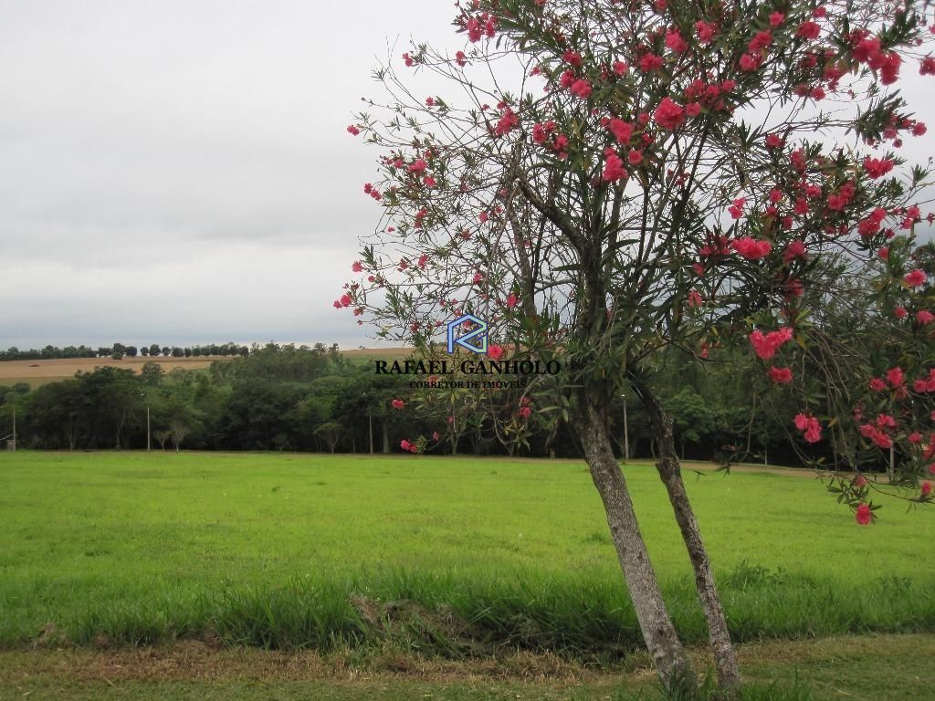 Terreno à venda, 1225m² - Foto 4