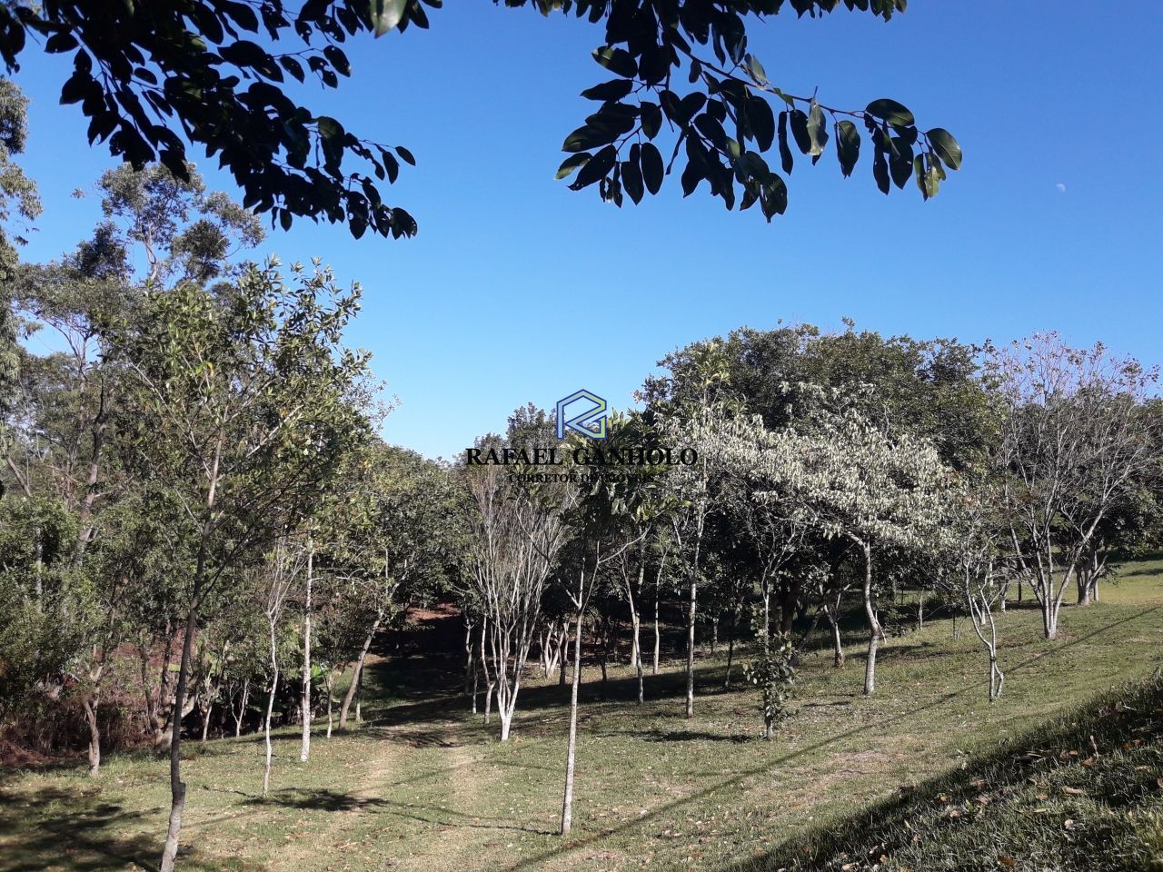 Terreno, 1183 m² - Foto 6