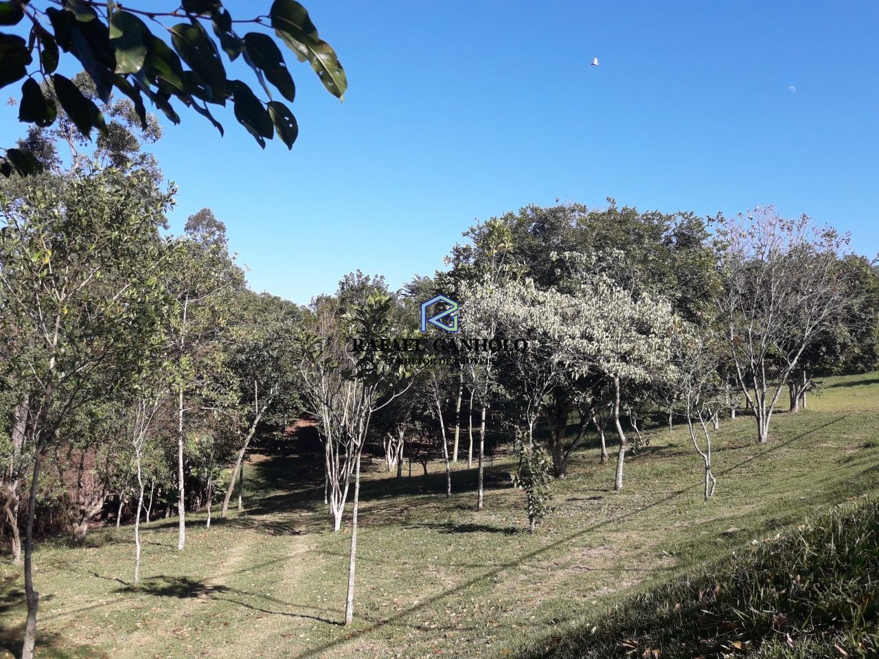 Terreno, 1208 m² - Foto 8