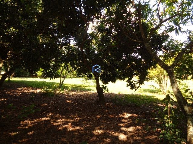 Terreno, 1046 m² - Foto 3