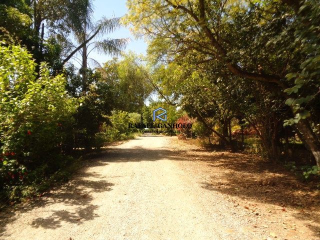 Terreno, 1046 m² - Foto 4