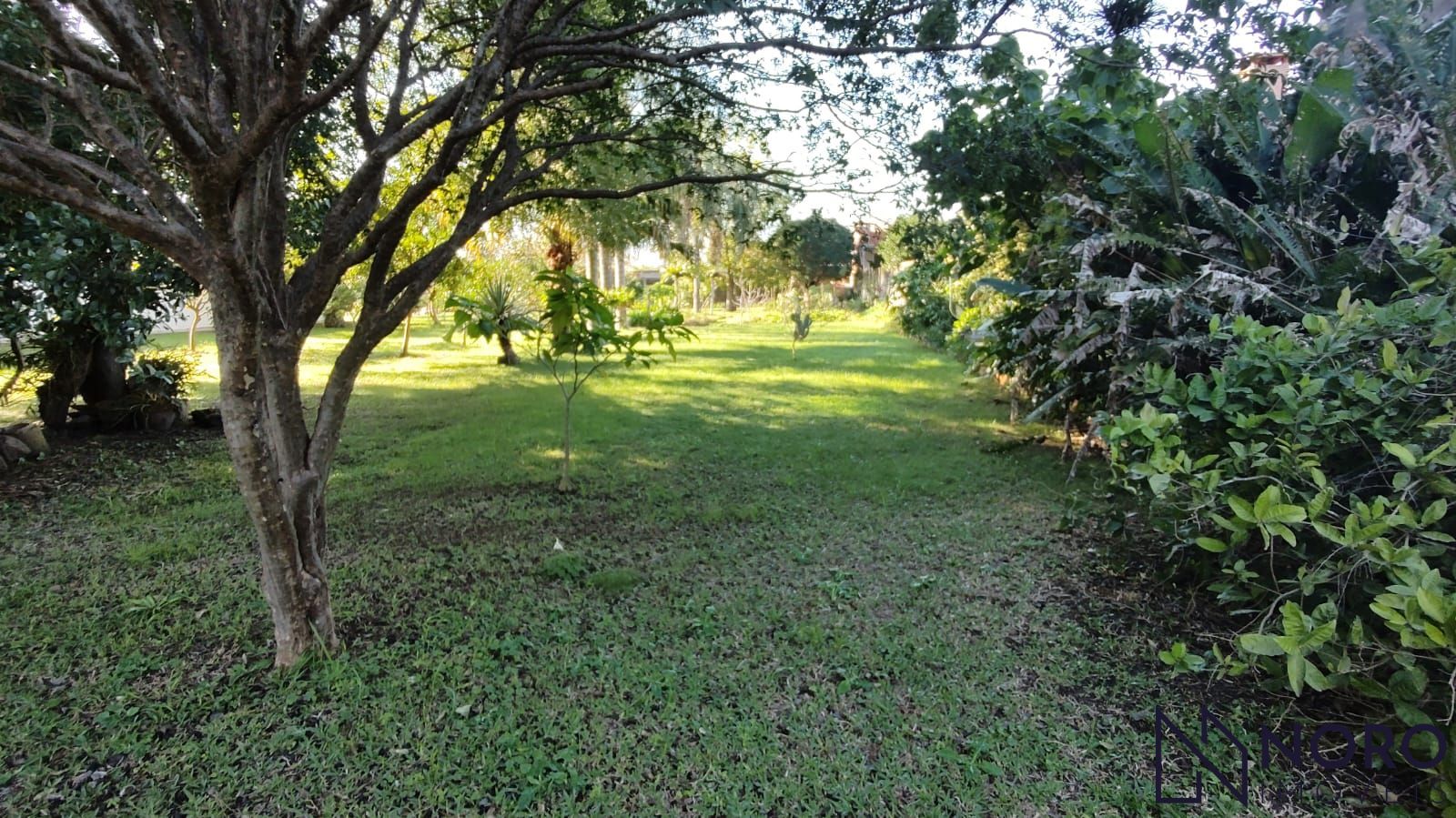 Casa com terreno de 2.000 m² no Bairro Pinheiro Machado – Espaço, tranquilidade