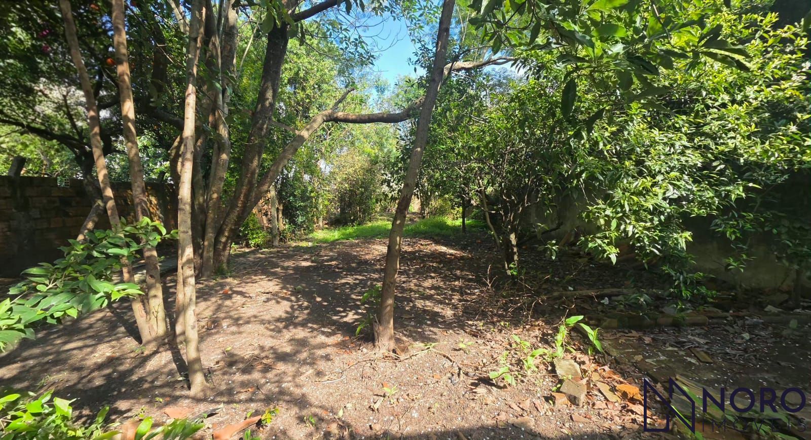 Casa com 3 dormitórios e amplo terreno de 759 m² no Bairro Rosári