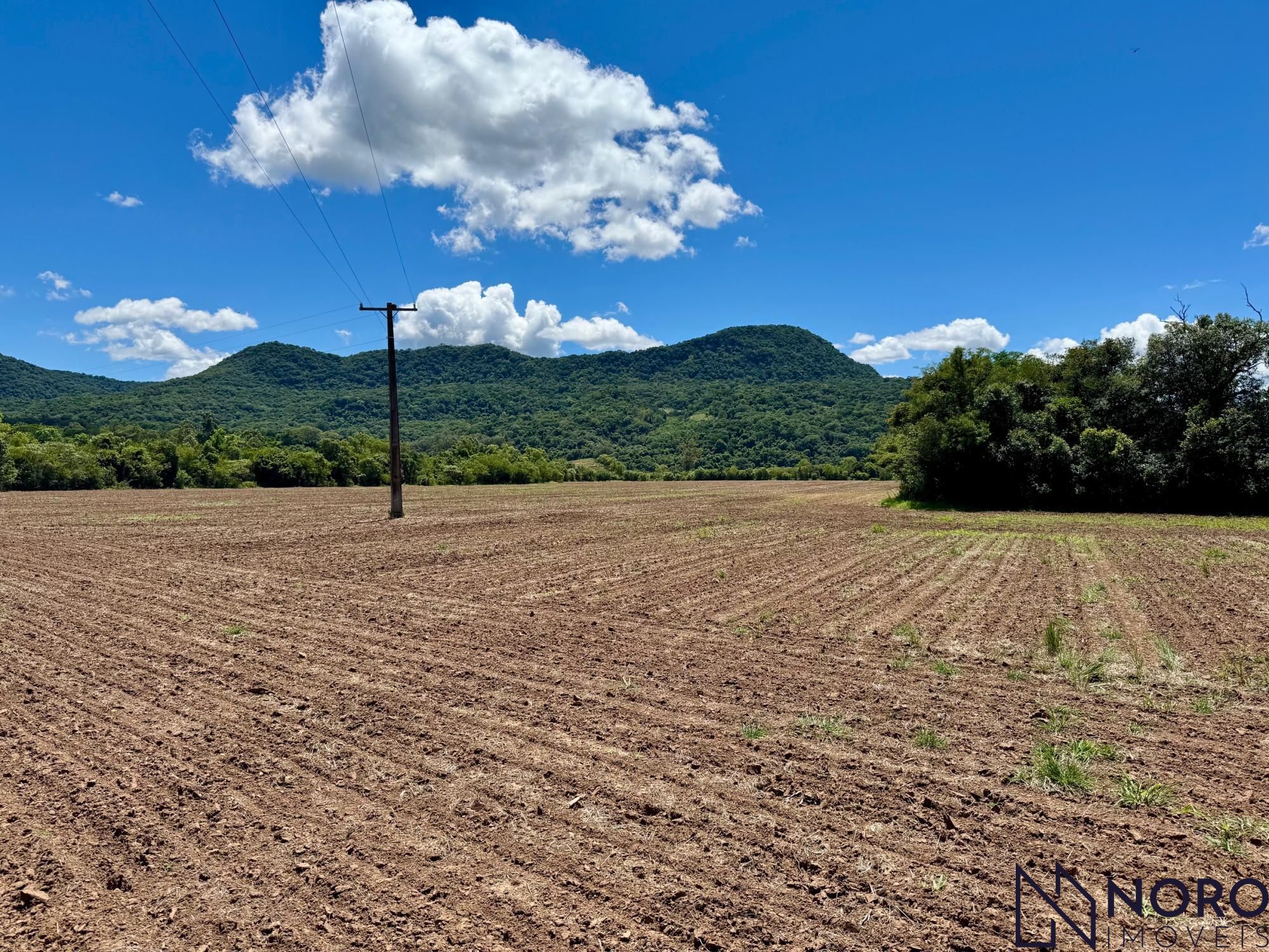 Fazenda/sítio/chácara/haras à venda  no Pé de Plátano - Santa Maria, RS. Imóveis