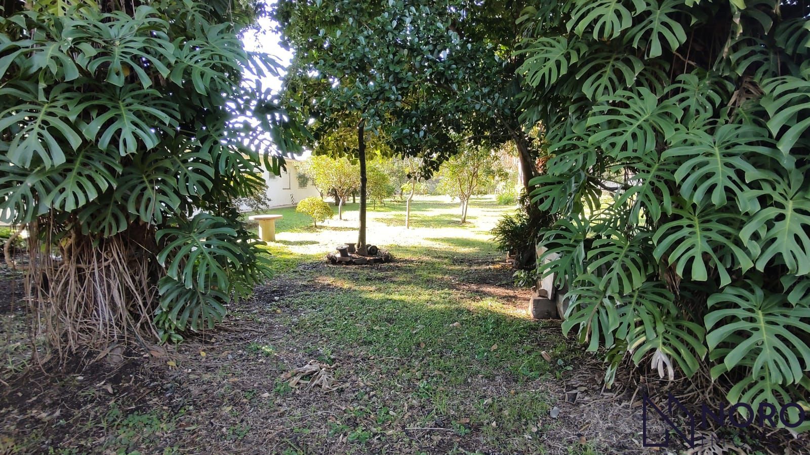 Casa com terreno de 2.000 m² no Bairro Pinheiro Machado – Espaço, tranquilidade