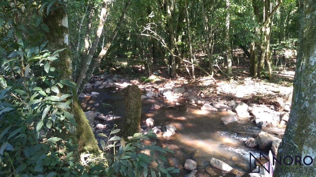 Casa no campo. Chácara para quem aprecia a natureza, mata na - foto 15