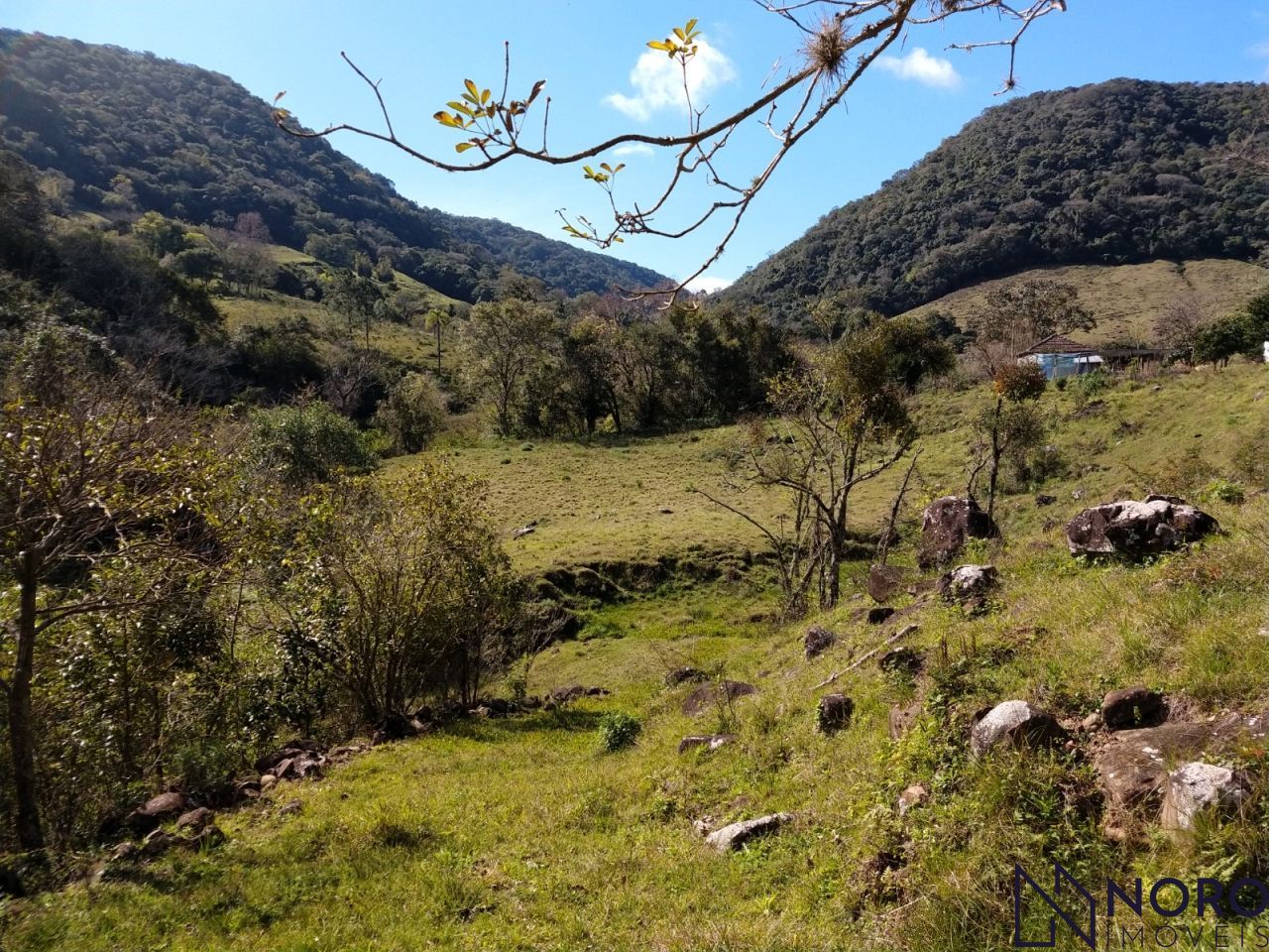 Fazenda/sítio/chácara/haras à venda  no Silveira Martins - Silveira Martins, RS. Imóveis