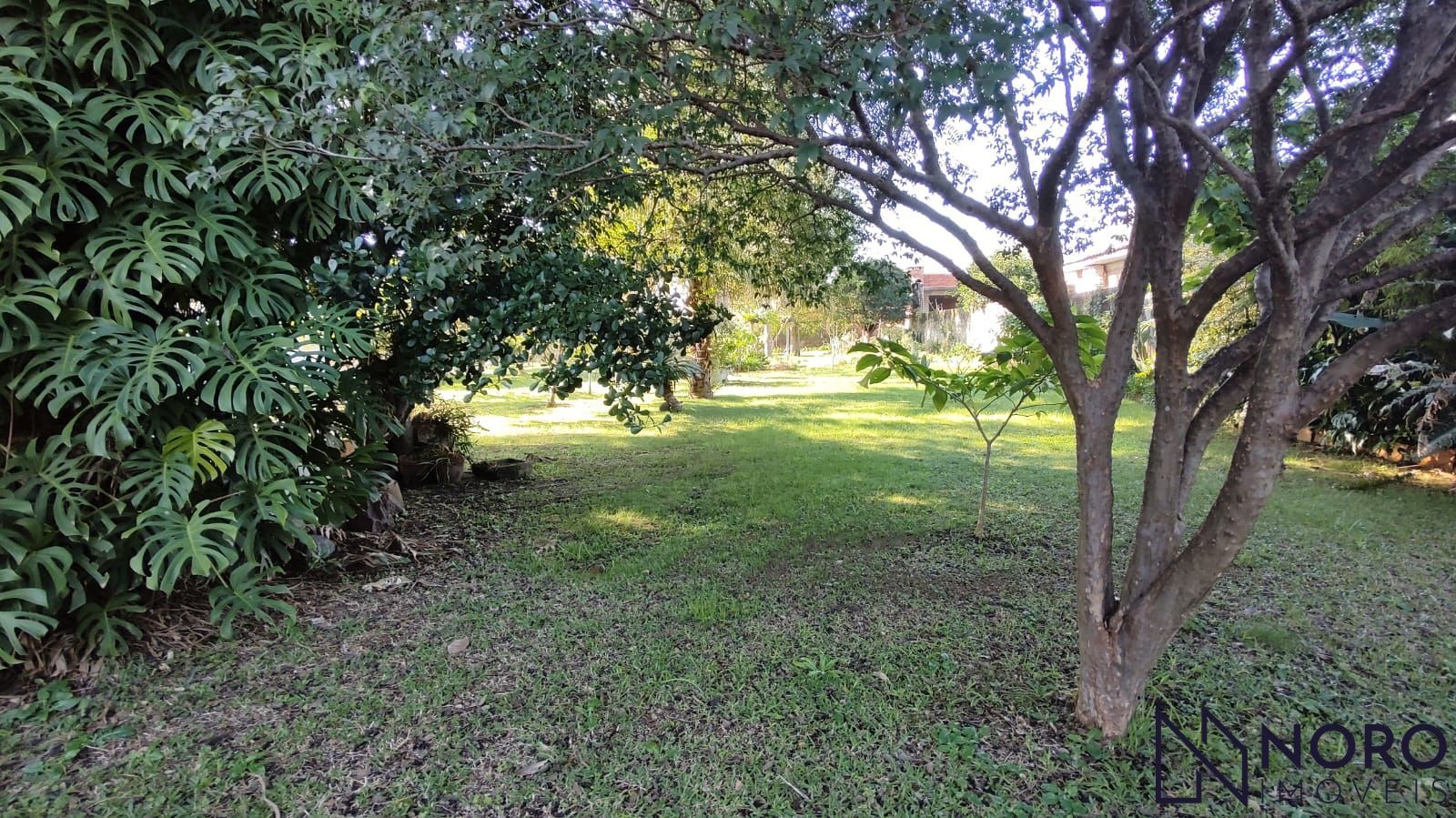 Casa com terreno de 2.000 m² no Bairro Pinheiro Machado – Espaço, tranquilidade