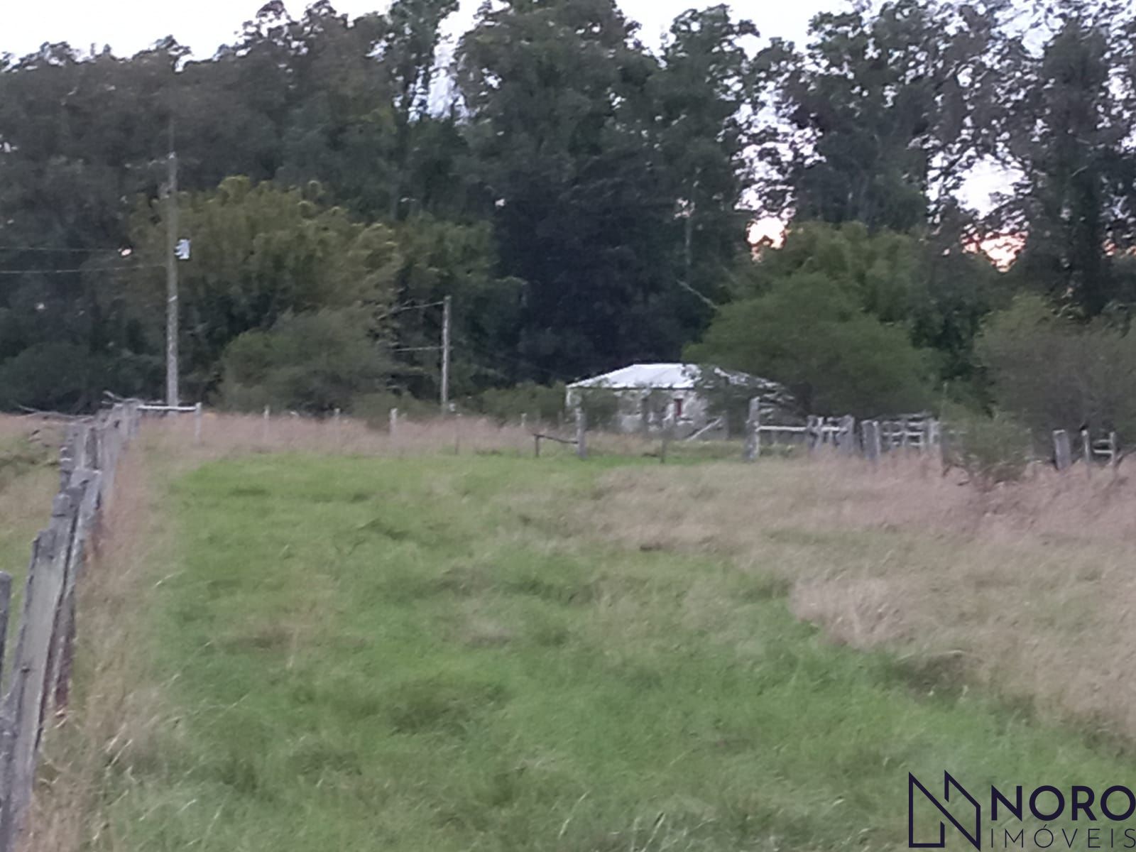 Fazenda/sítio/chácara/haras à venda  no Zona Rural - Alegrete, RS. Imóveis
