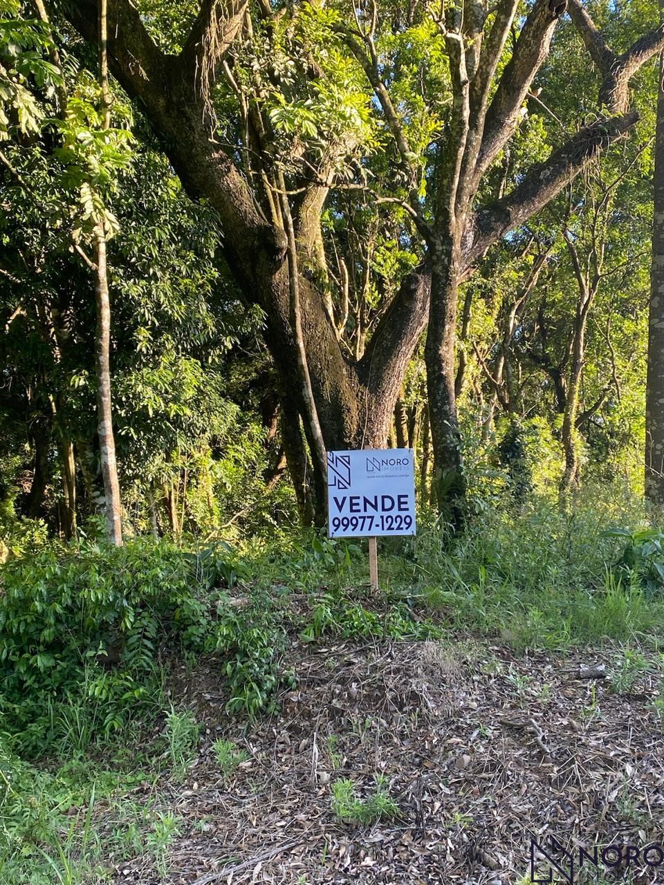 Terreno/Lote à venda  no Cerrito - Santa Maria, RS. Imóveis