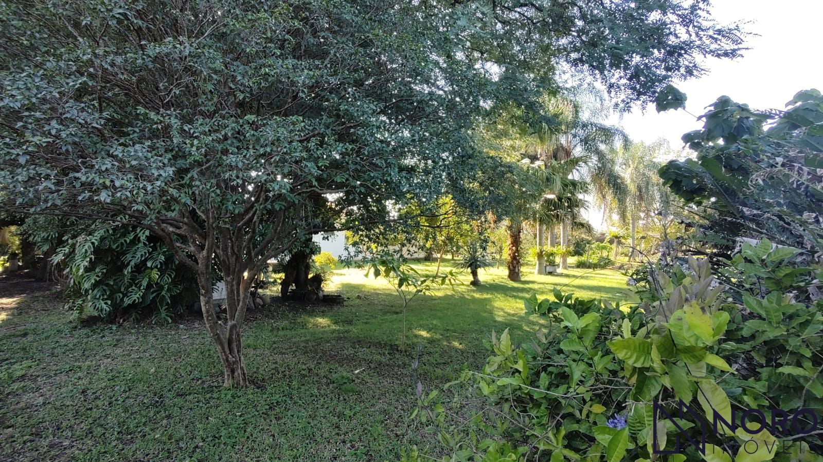 Casa com terreno de 2.000 m² no Bairro Pinheiro Machado – Espaço, tranquilidade