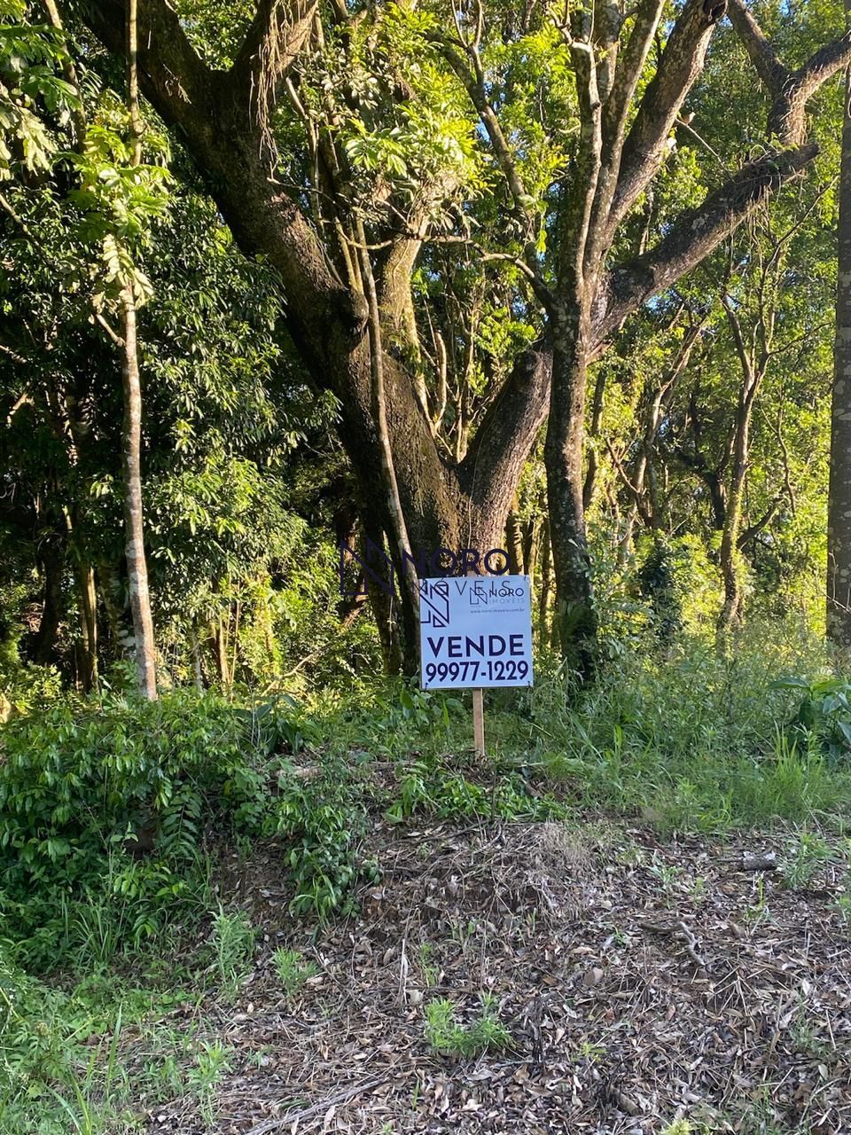 Terreno/Lote  venda  no Cerrito - Santa Maria, RS. Imveis