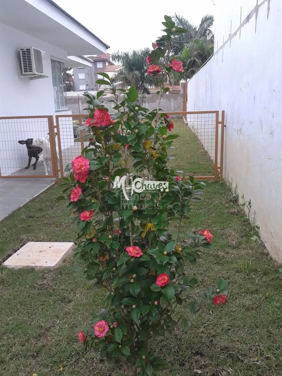 Casa, 3 quartos, 216 m² - Foto 10