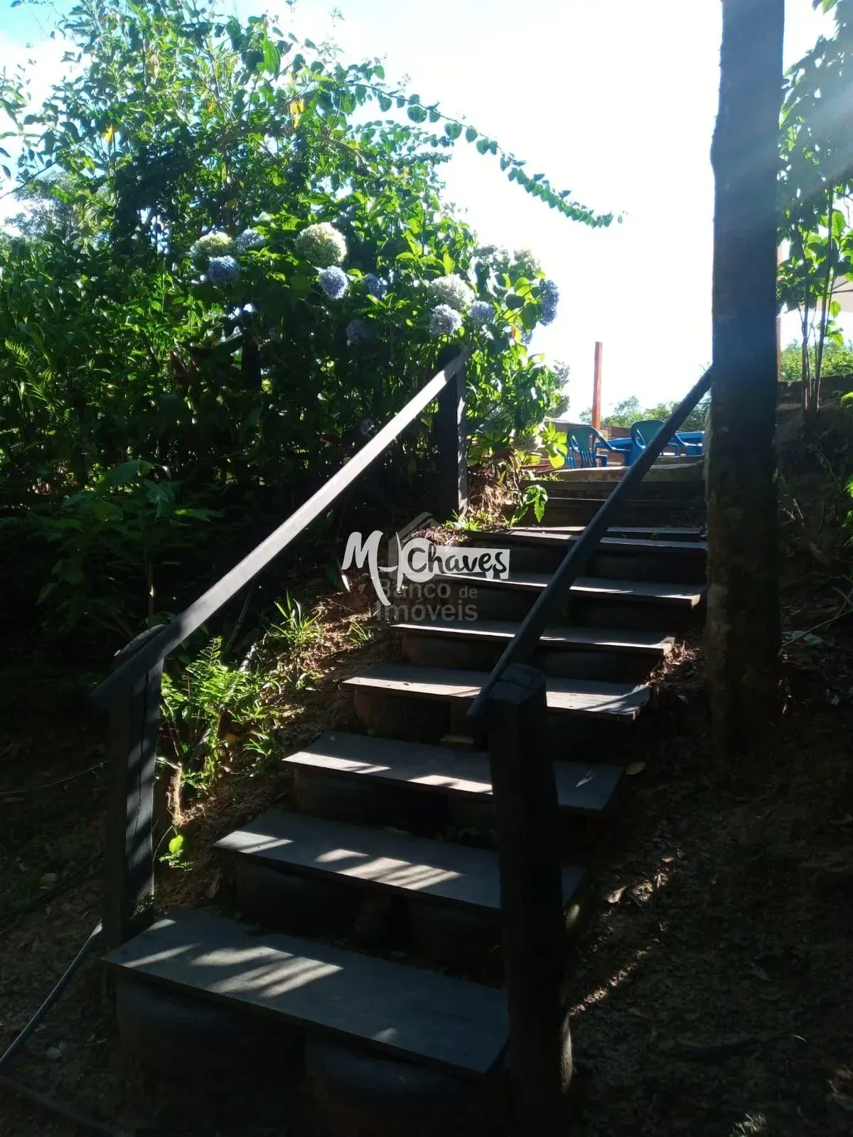 Chácara, 3 quartos, 3 hectares - Foto 15