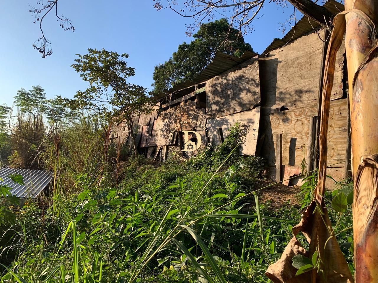 Fazenda à venda com 5 quartos, 161m² - Foto 12