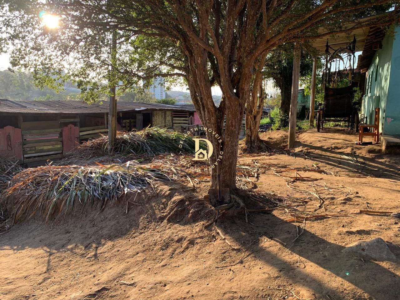 Fazenda à venda com 5 quartos, 161m² - Foto 10