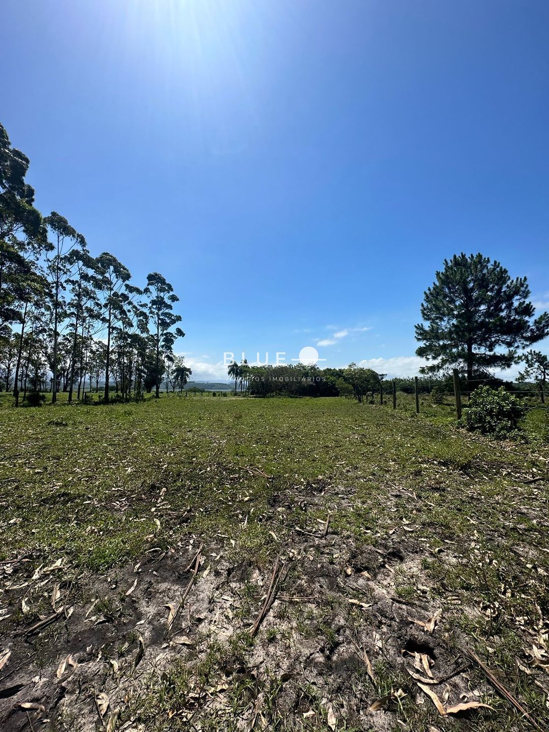 Fazenda à venda com 3 quartos, 300m² - Foto 15