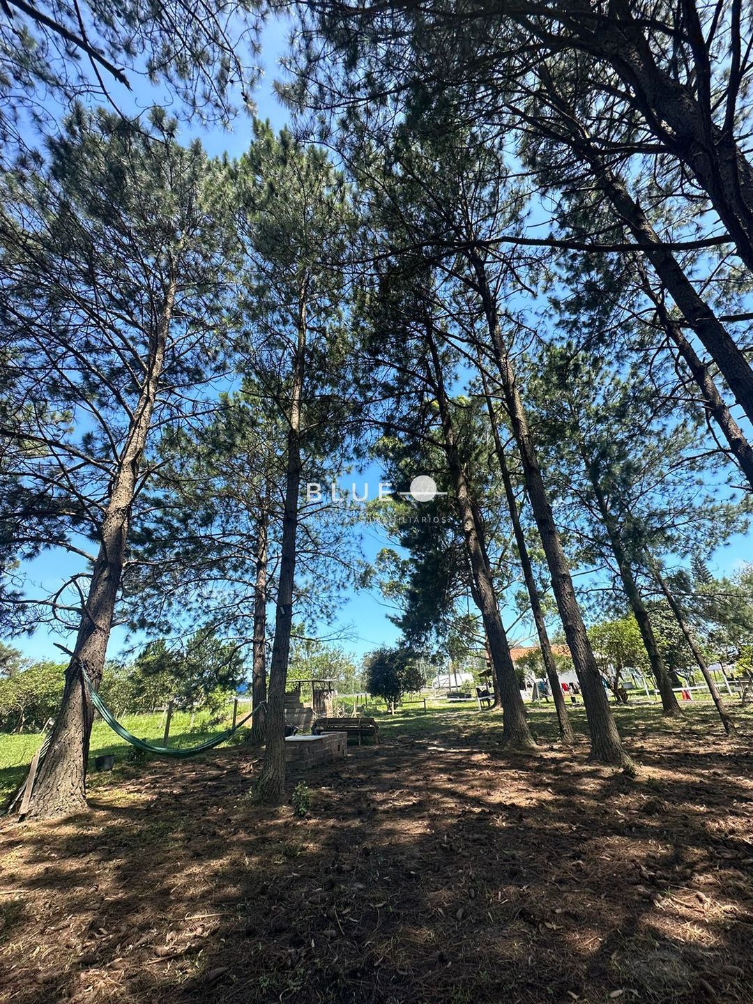 Sítio à venda com 3 quartos, 300m² - Foto 25