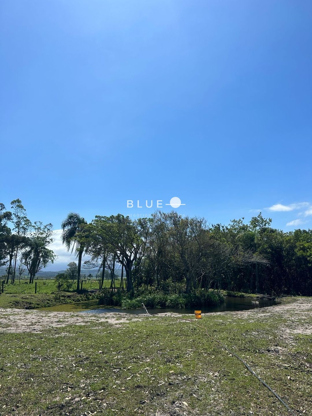 Fazenda à venda com 3 quartos, 300m² - Foto 16