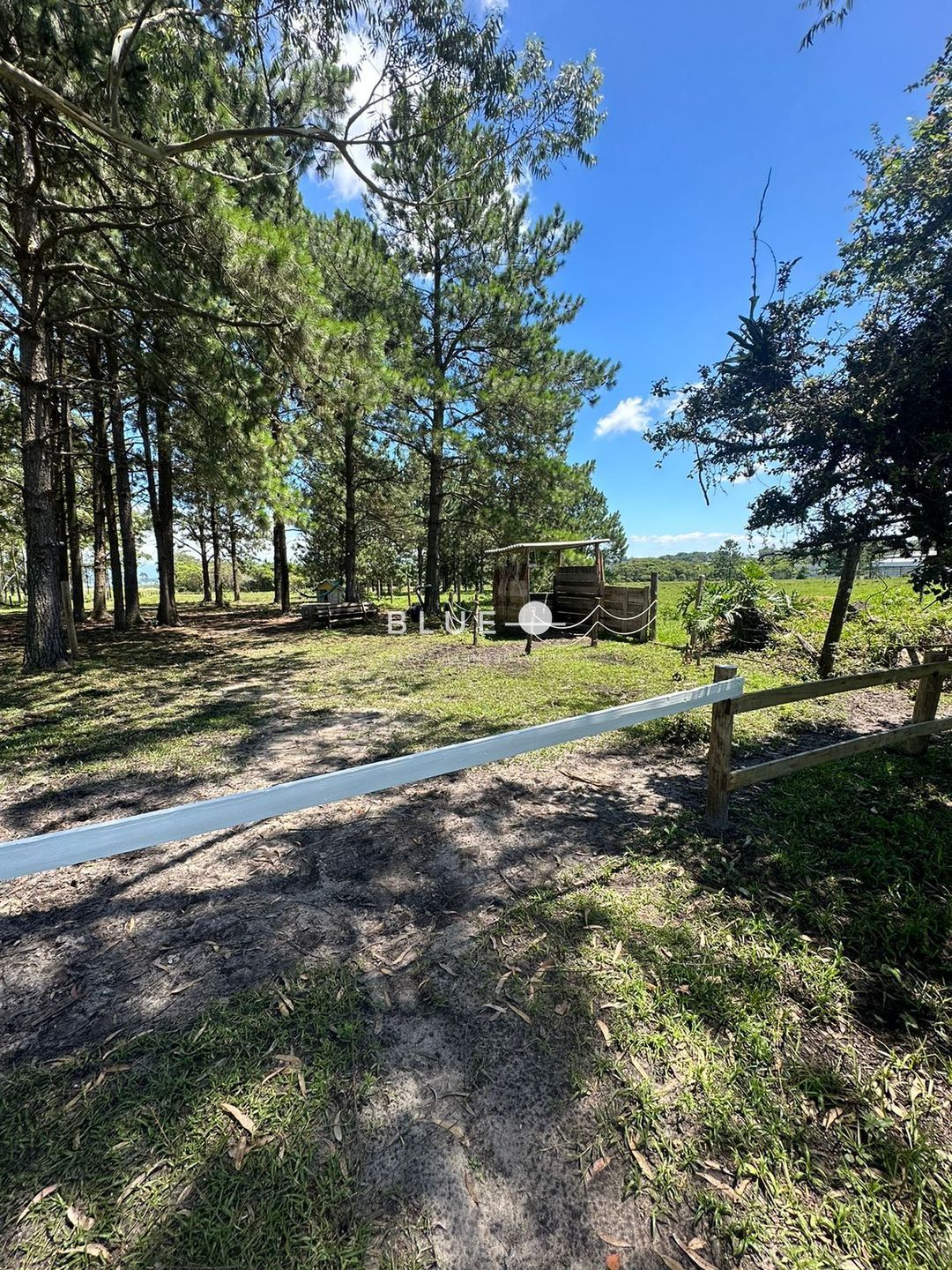 Fazenda à venda com 3 quartos, 300m² - Foto 13