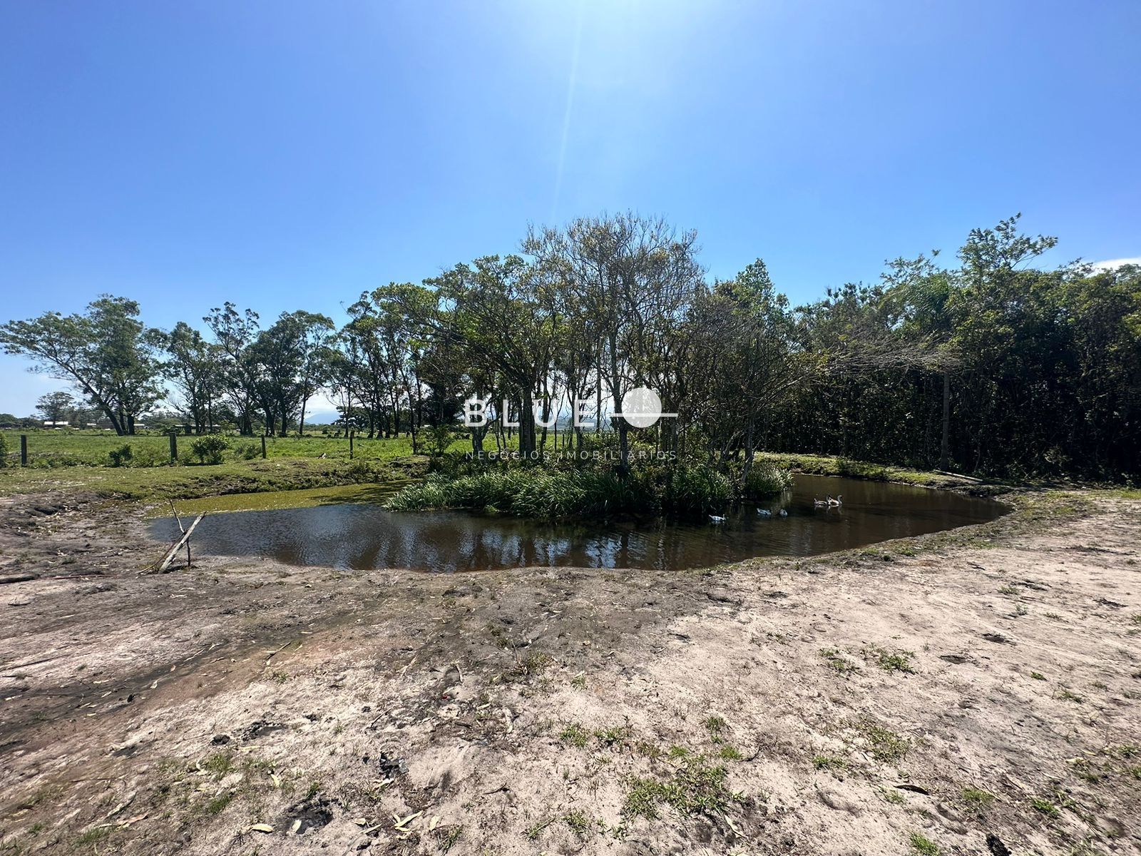 Fazenda à venda com 3 quartos, 300m² - Foto 17