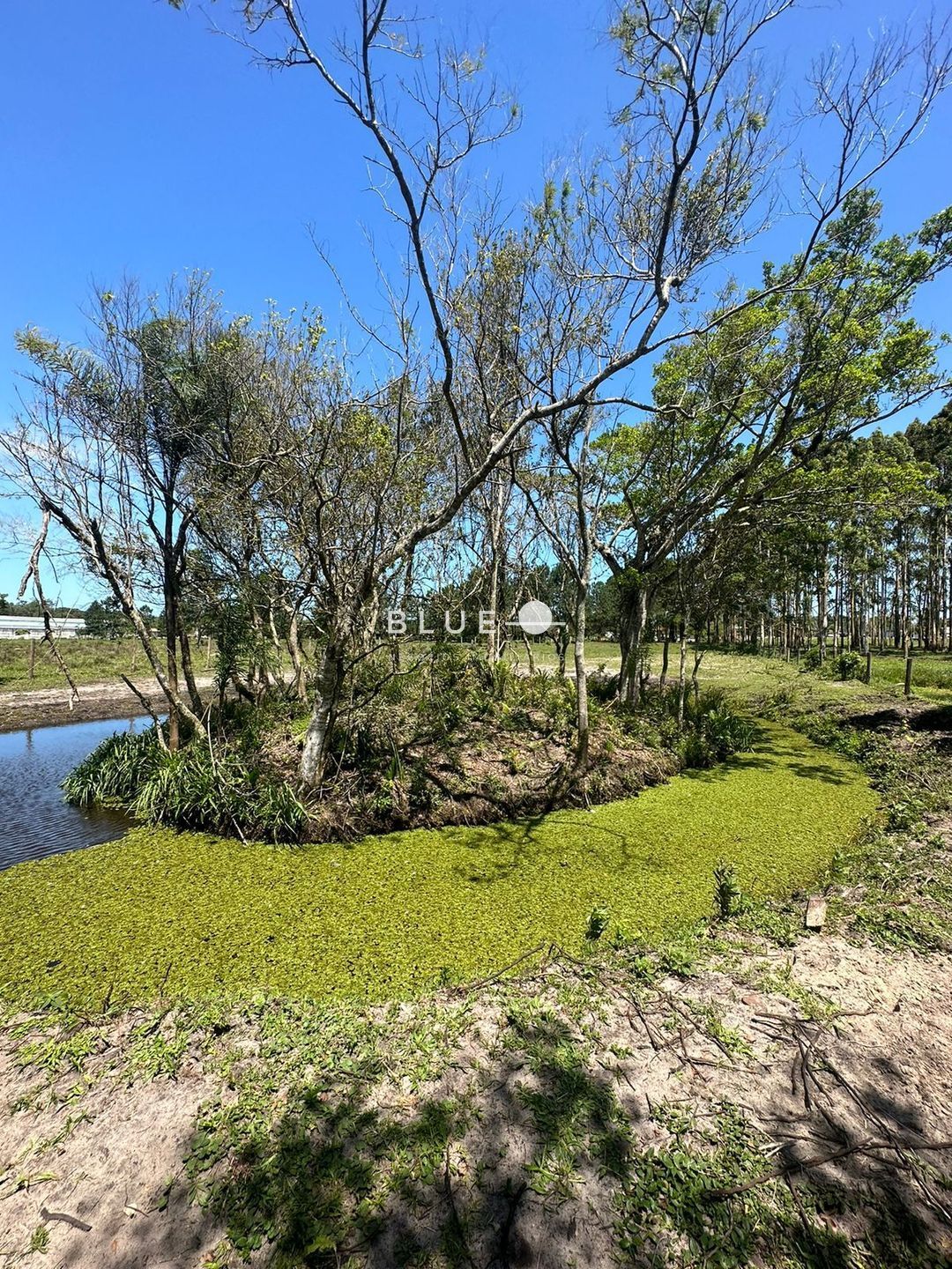 Fazenda à venda com 3 quartos, 300m² - Foto 23