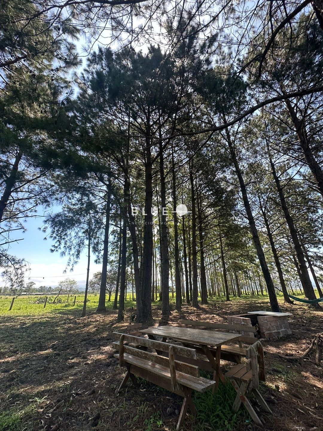 Sítio à venda com 3 quartos, 300m² - Foto 26