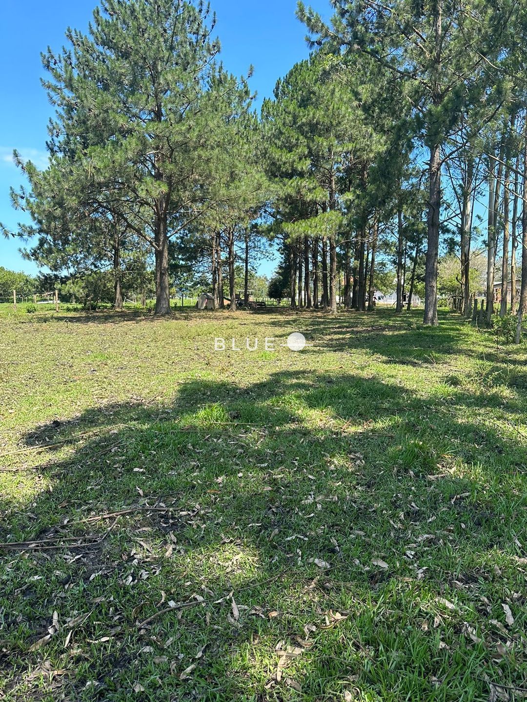 Sítio à venda com 3 quartos, 300m² - Foto 24