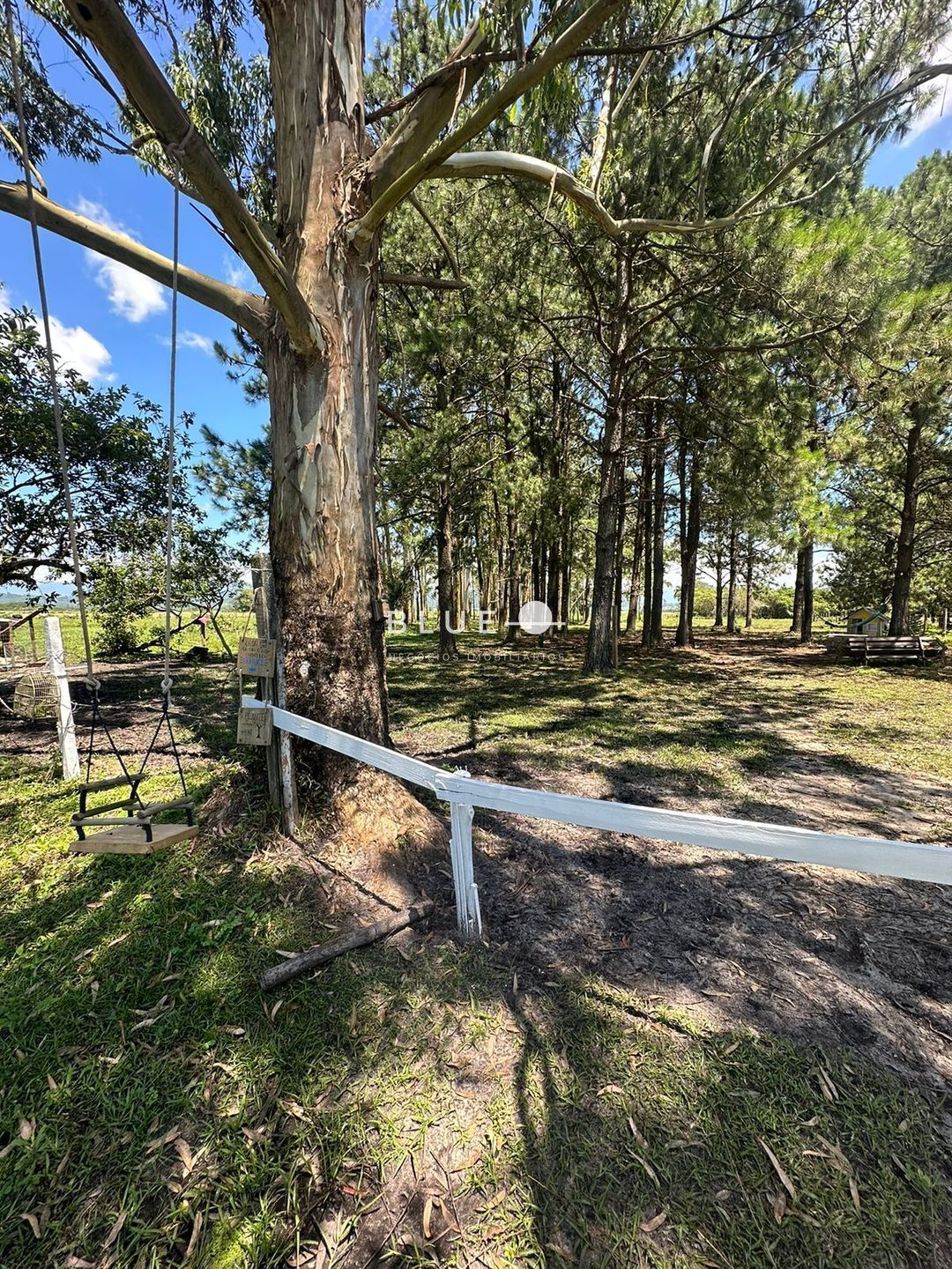 Sítio à venda com 3 quartos, 300m² - Foto 14