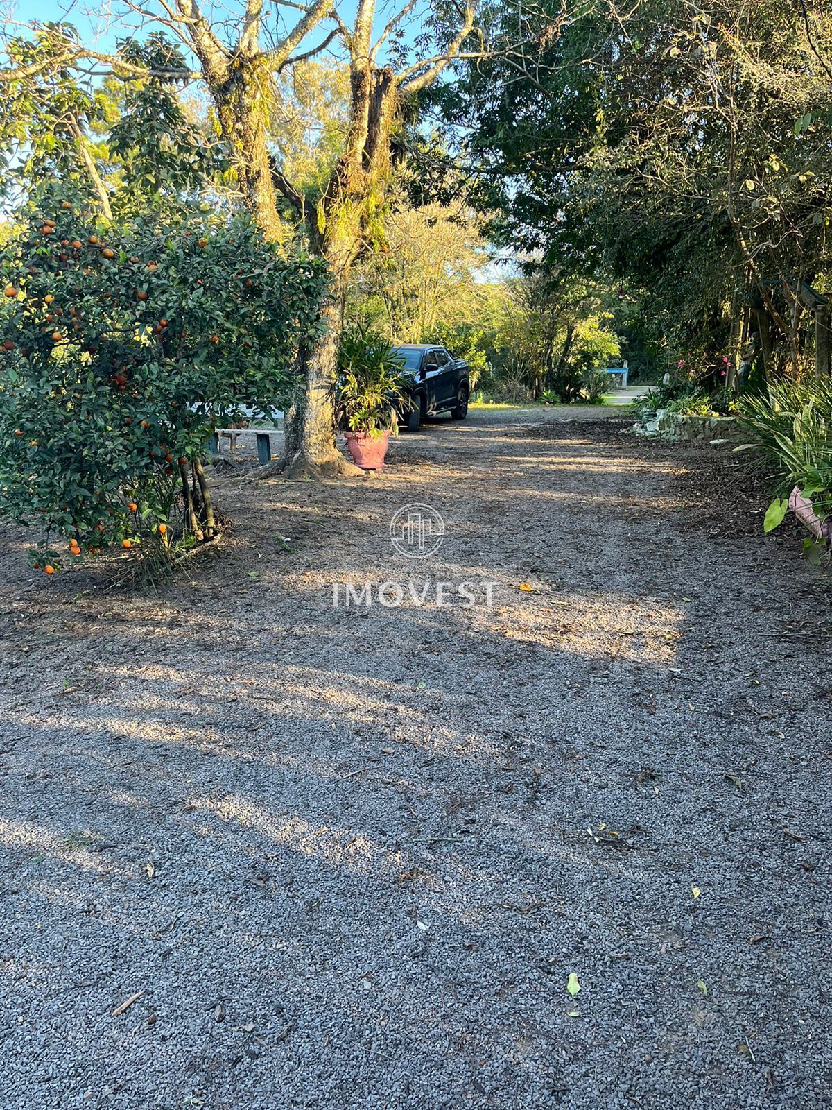 Chácara, 3 quartos, 6000 hectares - Foto 7