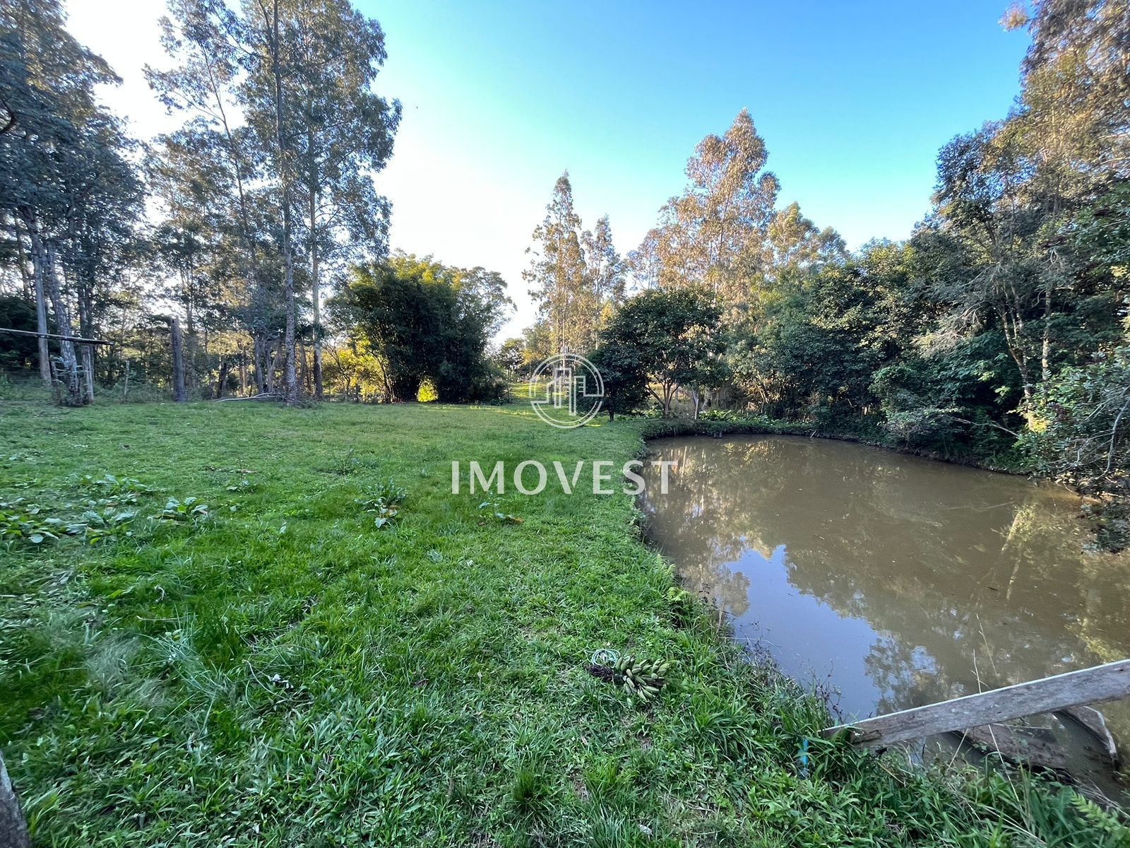 Chácara, 3 quartos, 6000 hectares - Foto 4