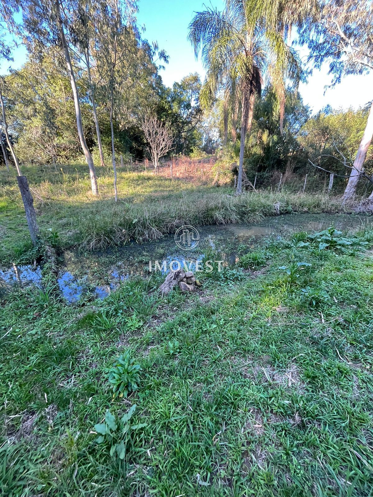 Chácara, 3 quartos, 6000 hectares - Foto 3
