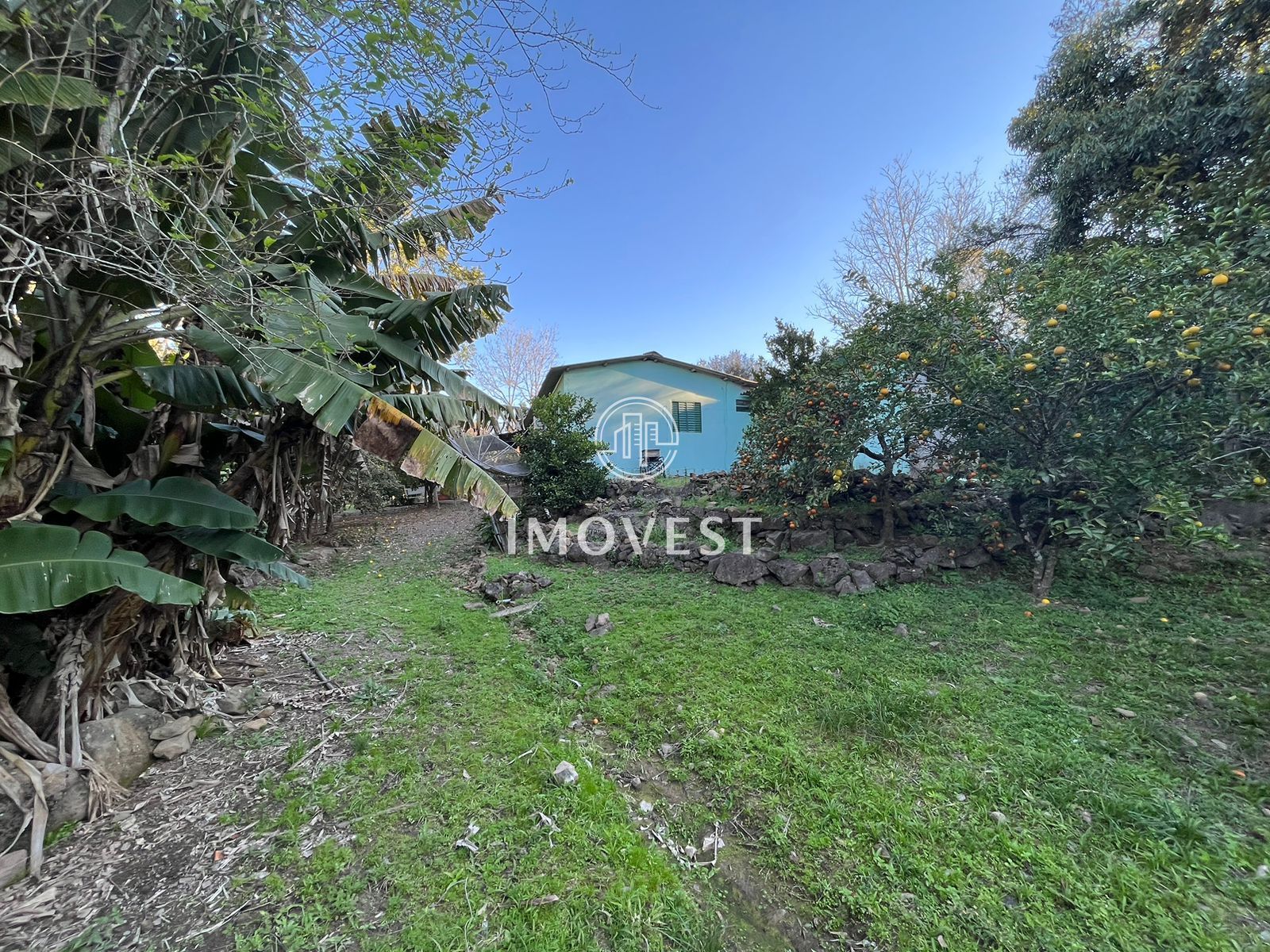 Chácara, 3 quartos, 6000 hectares - Foto 5