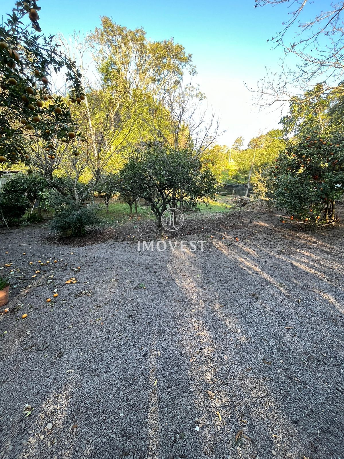 Chácara, 3 quartos, 6000 hectares - Foto 6