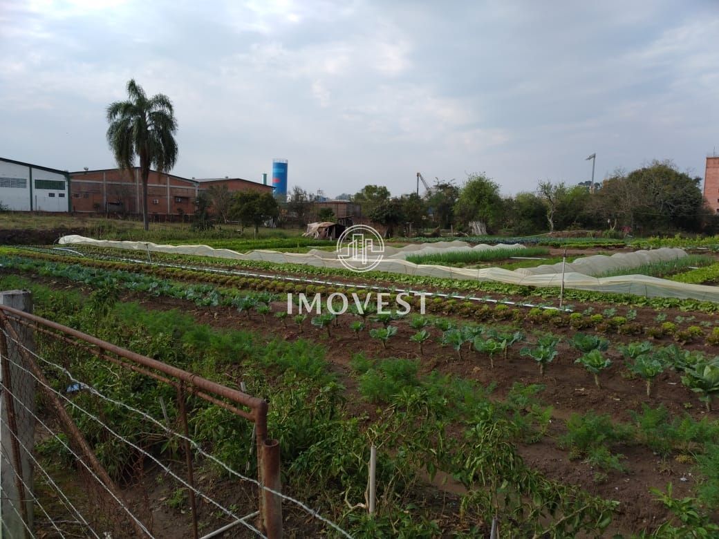 Terreno, 1 hectares - Foto 2