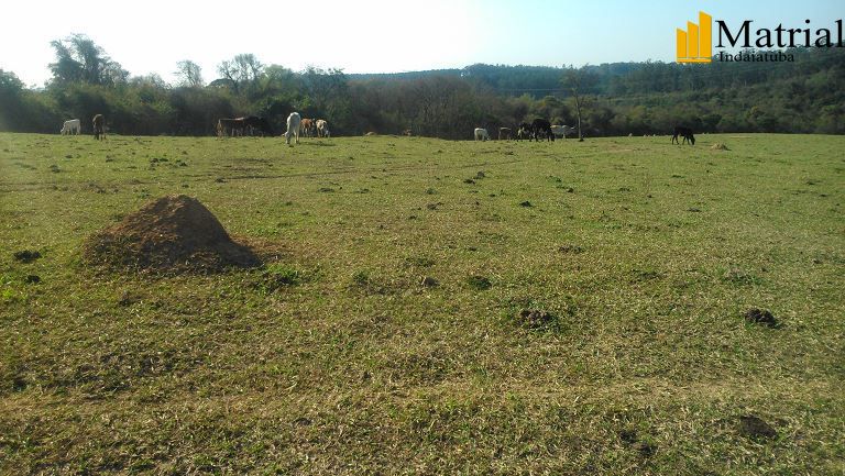 Sítio à venda, 129000m² - Foto 4