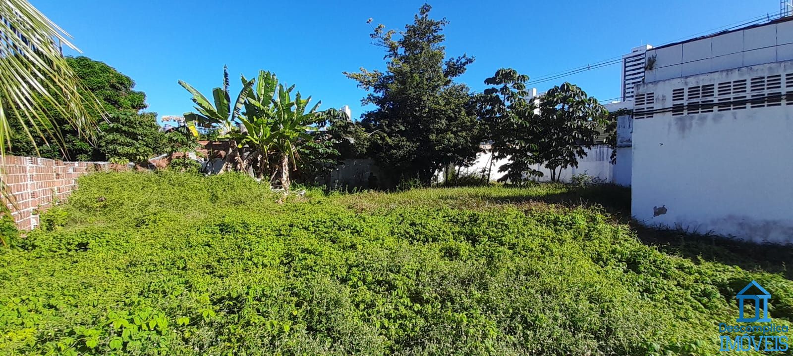 Terreno, 808 m² - Foto 9
